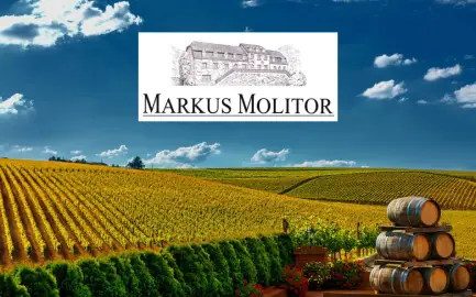 Weingut Markus Molitor