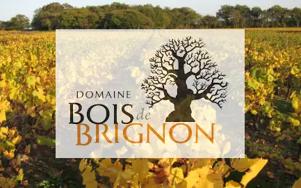 Domaine Bois de Brignon