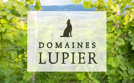 Domaine Lupier