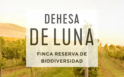 Dehesa de Luna