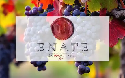 Enate