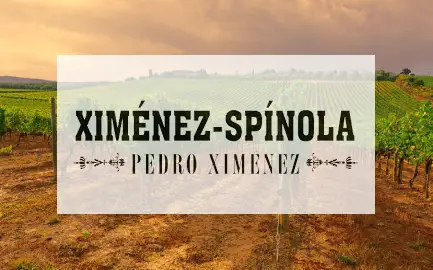 Ximenez-Spinola