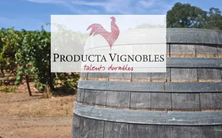 Producta Vignobles