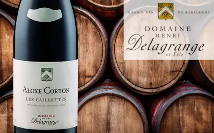 Domaine Henri Delagrange et fils