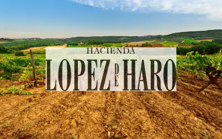 Lopez de Haro