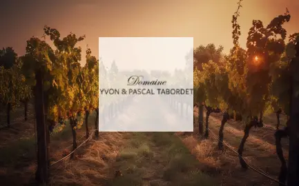 Domaine Yvon et Pascal Tabordet