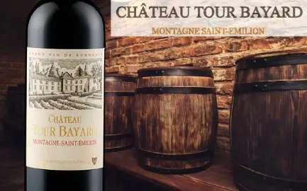 Chateau Tour Bayard