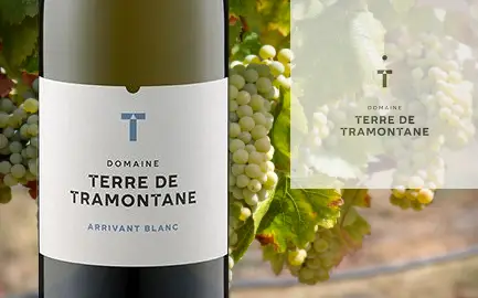 Domaine Terre de Tramontane